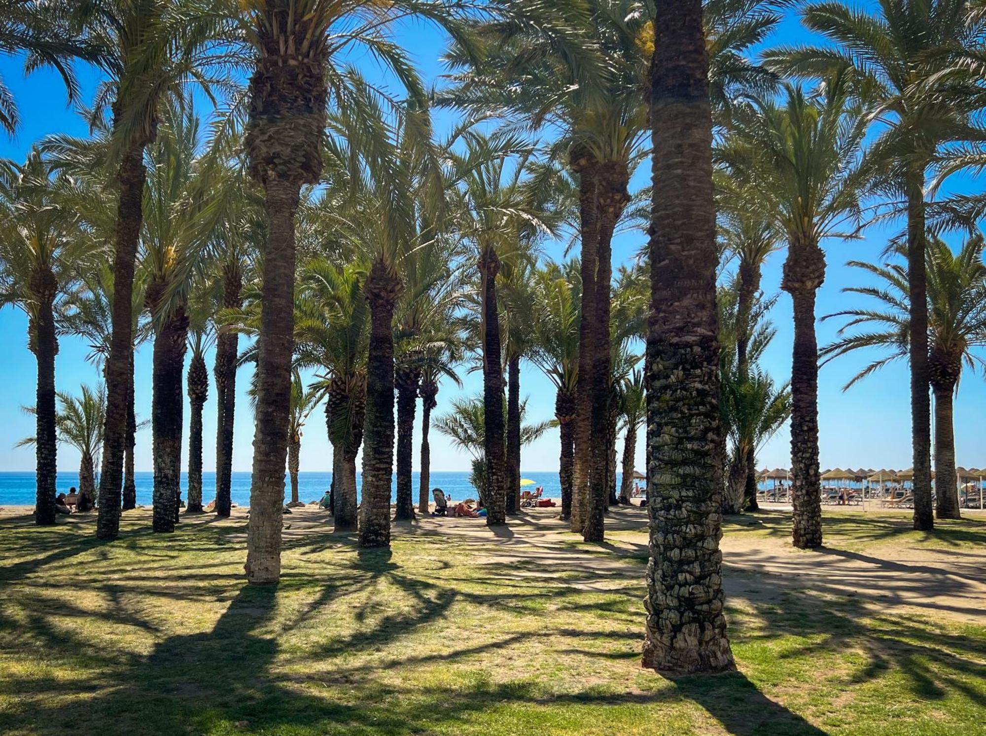 Sunsands Studio 1ºb Playa76 Carihuela 토레몰리노스 외부 사진